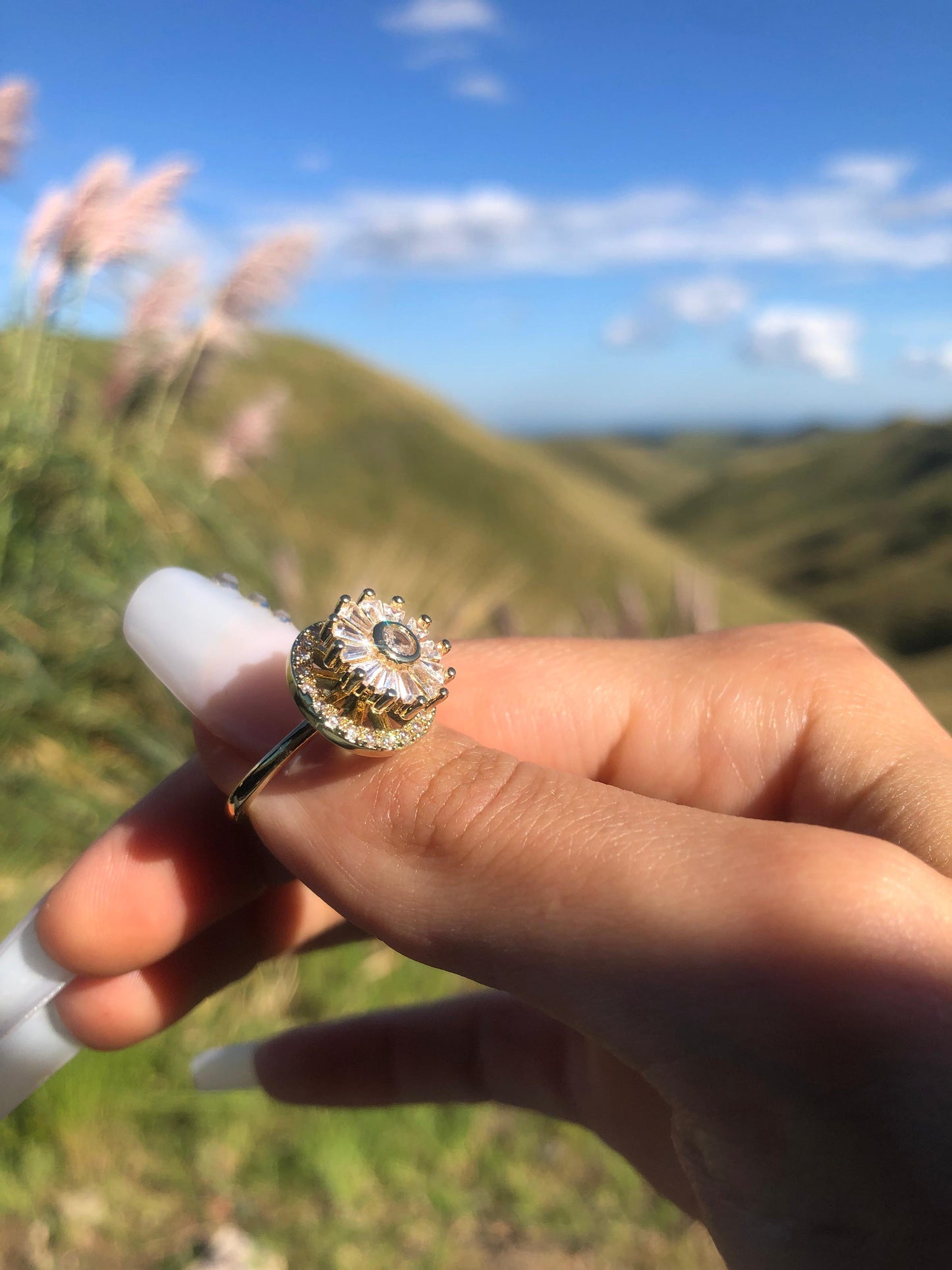 Anillo Flor de los Ciclos Giratoria
